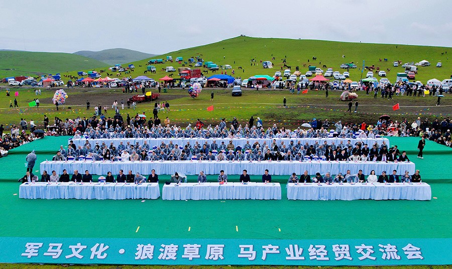 “軍馬文化·狼渡草原”馬產業經貿交流會在岷縣舉行